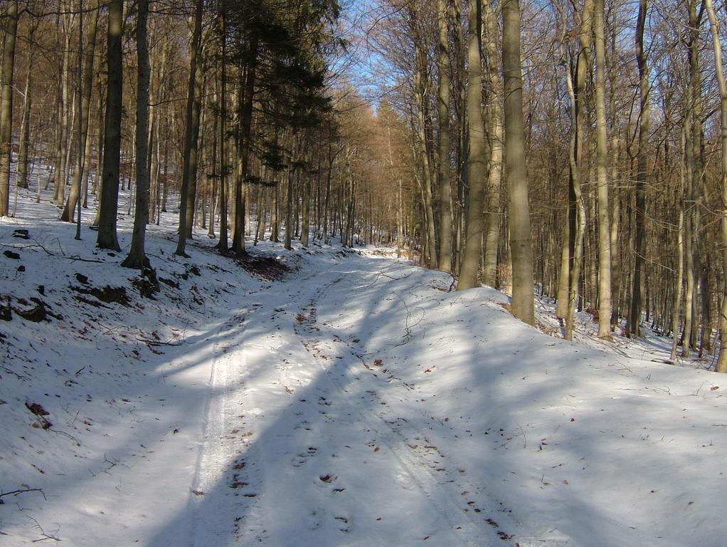 Fliederhof Ferienwohnungen Herresbach 객실 사진