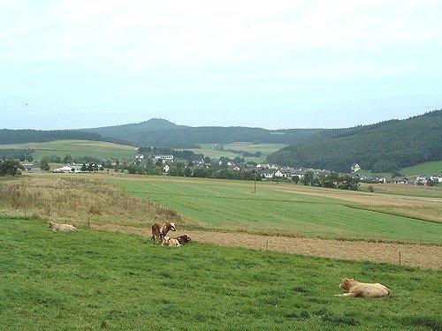 Fliederhof Ferienwohnungen Herresbach 객실 사진