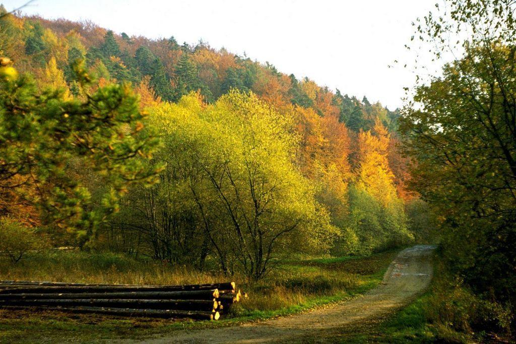 Fliederhof Ferienwohnungen Herresbach 객실 사진