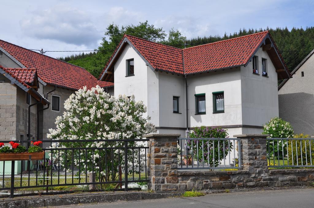 Fliederhof Ferienwohnungen Herresbach 객실 사진